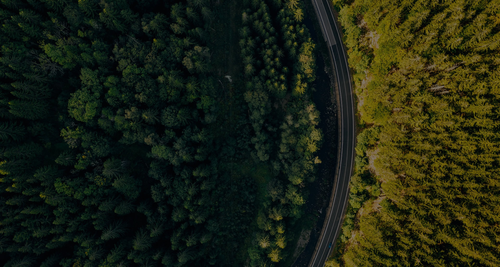 parallax background
